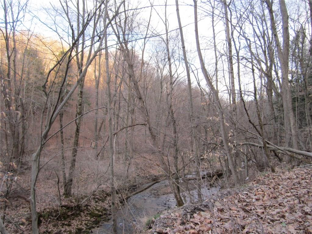 600 Graham Road Kittanning, PA 16201 - Photo 5 of 13 View from Graham Rd.