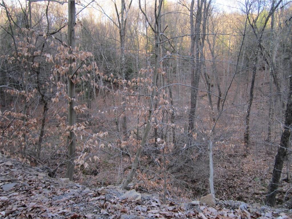 600 Graham Road Kittanning, PA 16201 - Photo 6 of 13 from Graham Rd