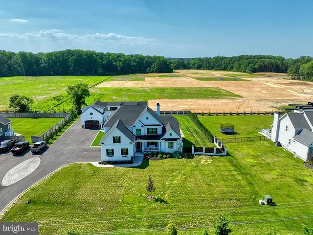 a view of a patio with couches chairs potted plants and a large tree