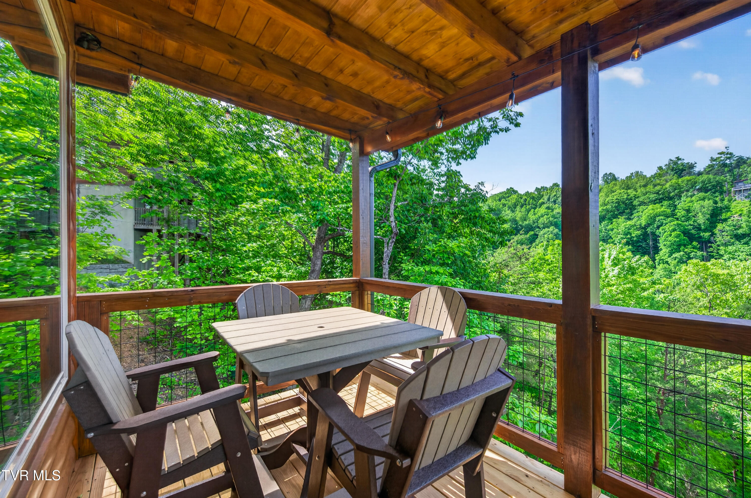 756 Ski View Lane Sevierville, TN 37876 - Photo 39 of 48 DSC_8095