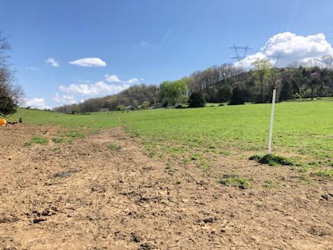 489 Warren Road Piney Flats, TN 37686 - Photo 13 of 16 IMG_1360