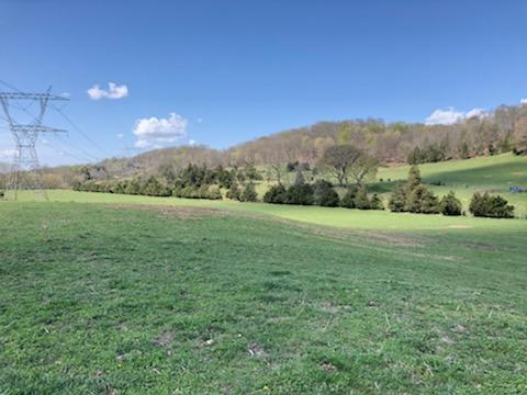 489 Warren Road Piney Flats, TN 37686 - Photo 16 of 16 IMG_1363