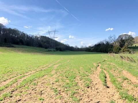 489 Warren Road Piney Flats, TN 37686 - Photo 3 of 16 IMG_1359