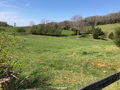 489 Warren Road Piney Flats, TN 37686 - Photo 6 of 16 IMG_1347