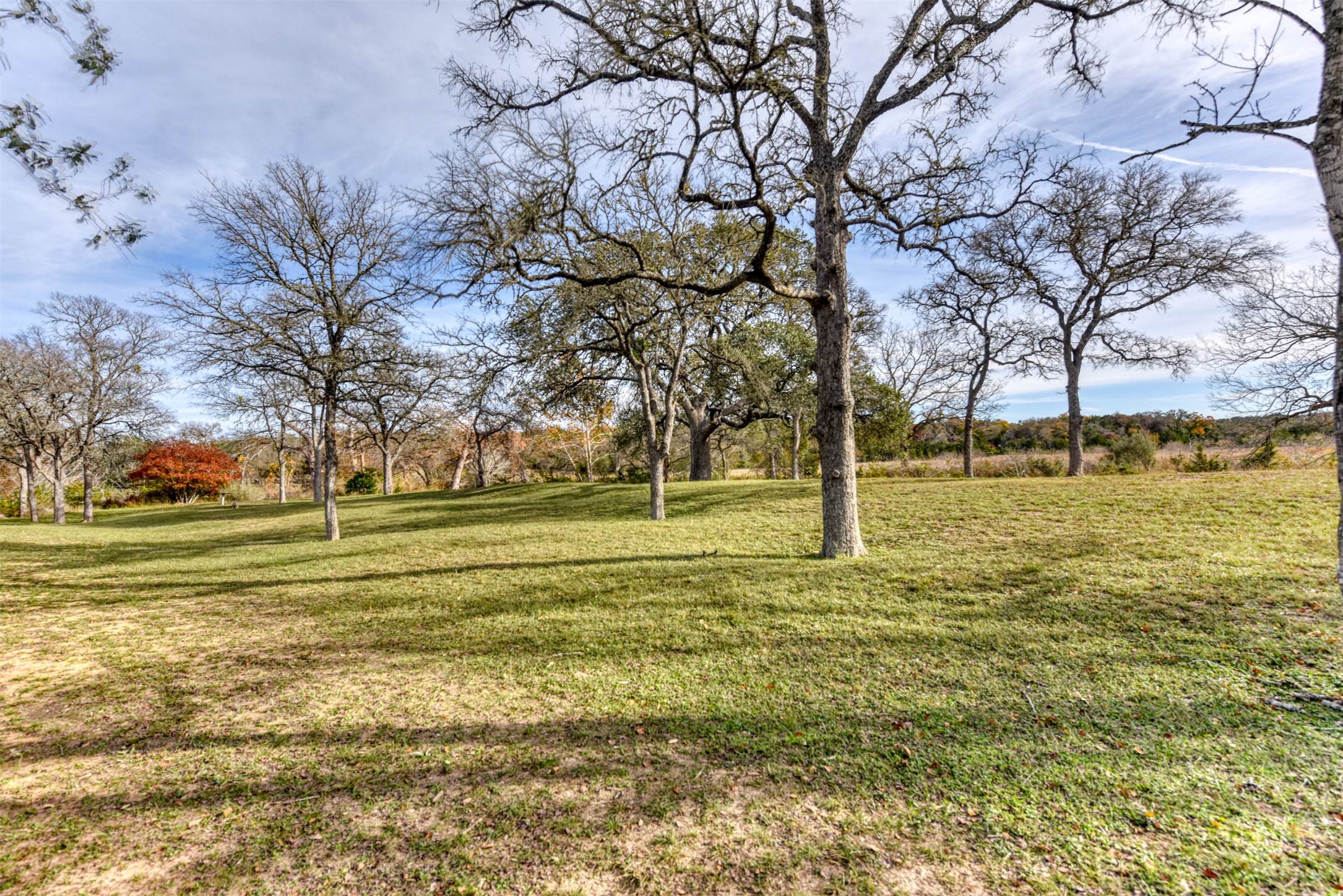 1156 Narrows Road Blanco, TX 78606 - Photo 31 of 40 Expansive grassy terrain featuring numerous mature trees with a distant tree line