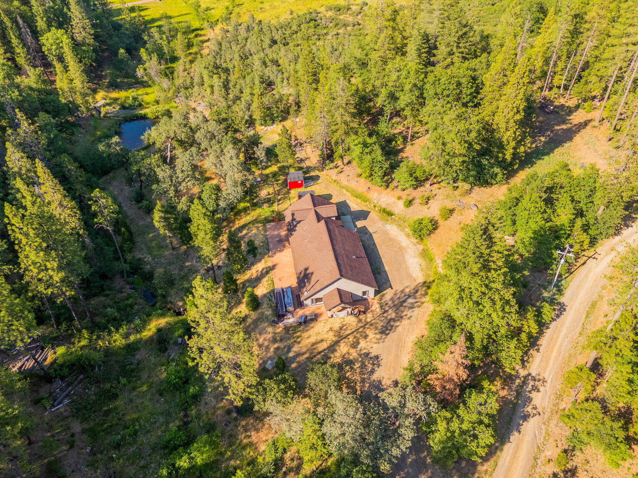 a view of a yard with plants