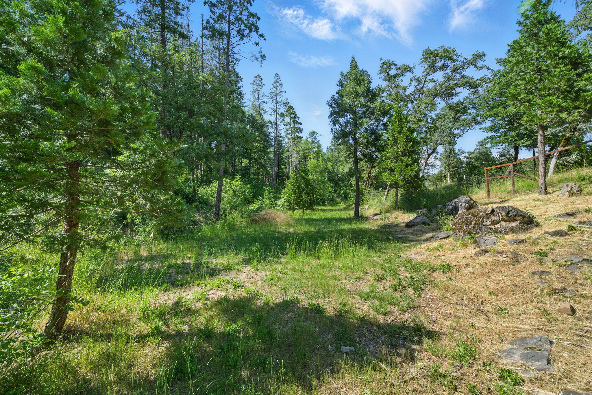 15399 Star Flower Road Oak Run, CA 96069 - Photo 28 of 44 a view of a lake with a tree in back