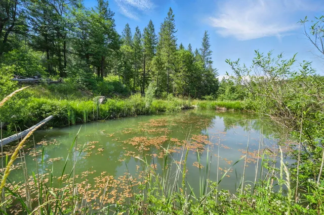 a view of lake background with houses