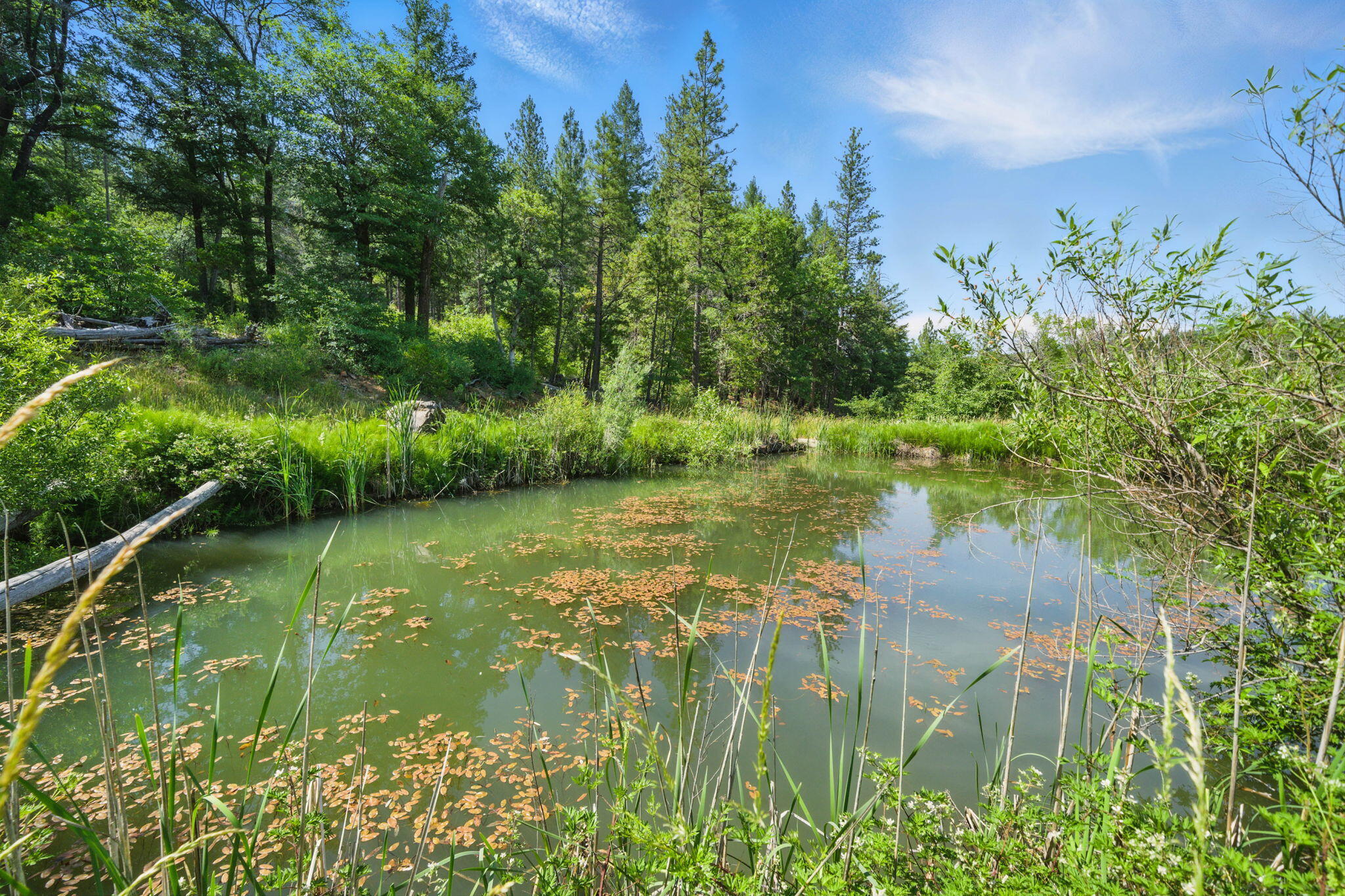 15399 Star Flower Road Oak Run, CA 96069 - Photo 3 of 44 a view of lake background with houses
