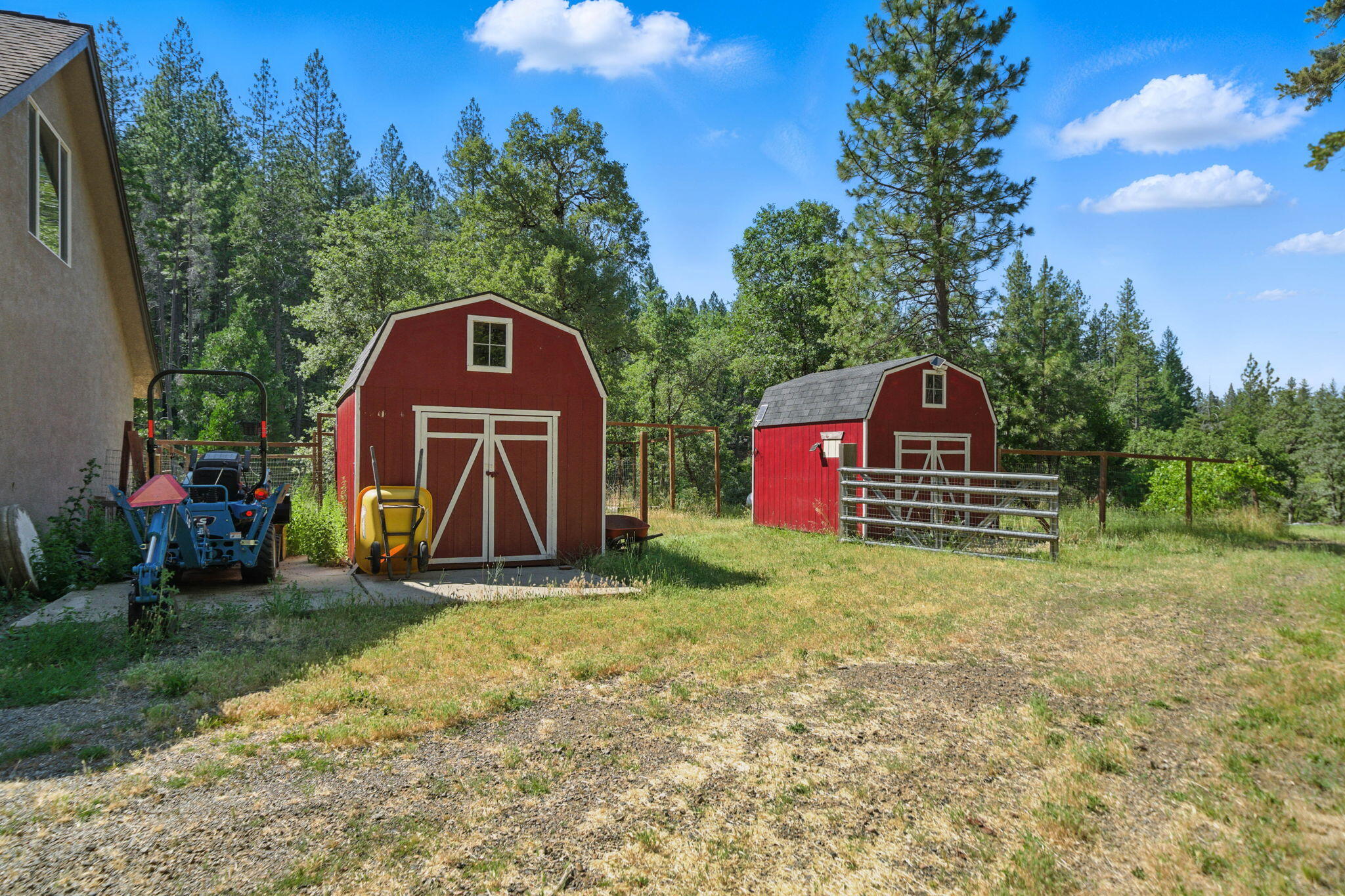 15399 Star Flower Road Oak Run, CA 96069 - Photo 31 of 44 a view of outdoor space with garden and trees