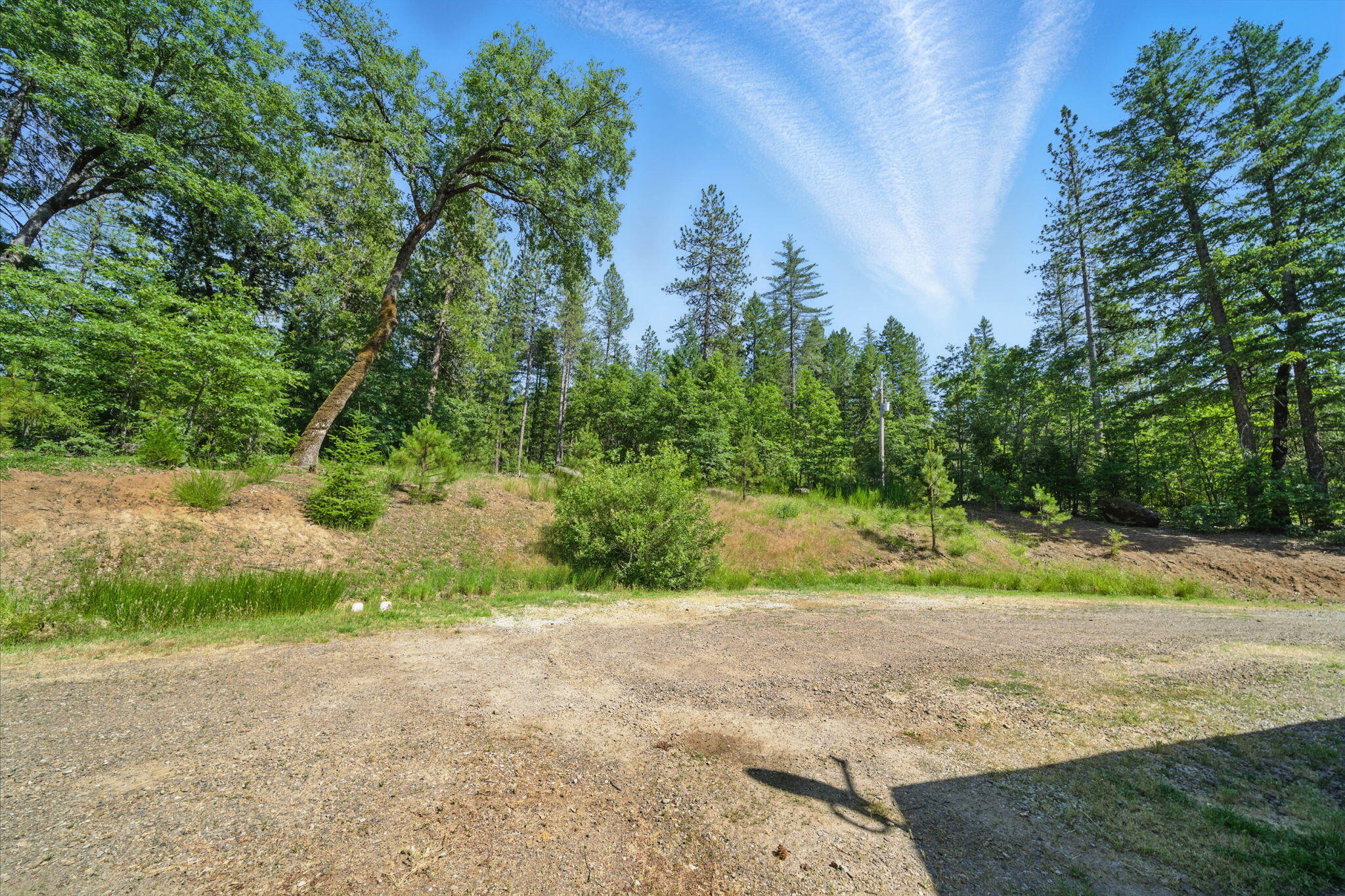 15399 Star Flower Road Oak Run, CA 96069 - Photo 32 of 44 a view of outdoor space and yard