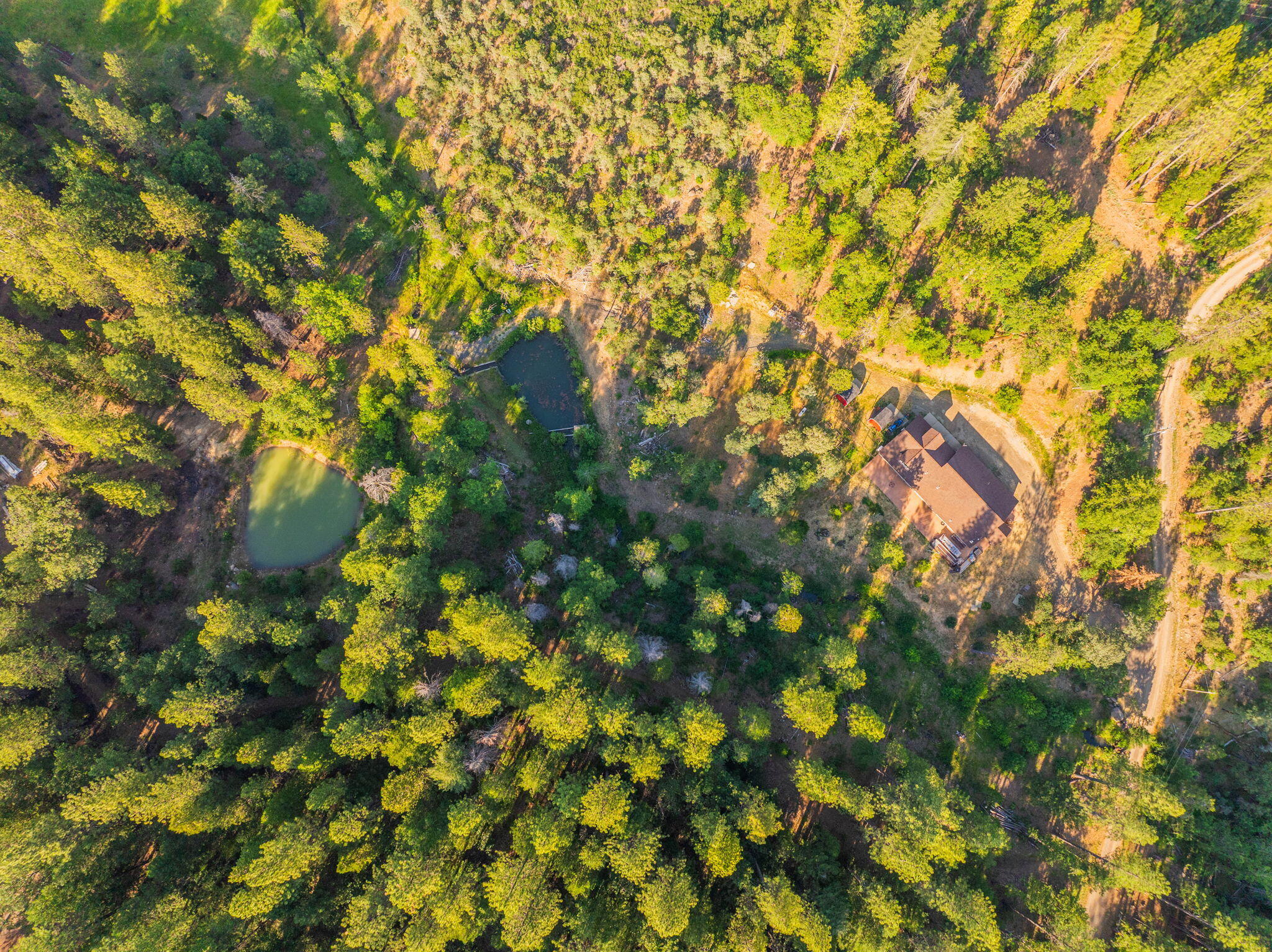 15399 Star Flower Road Oak Run, CA 96069 - Photo 33 of 44