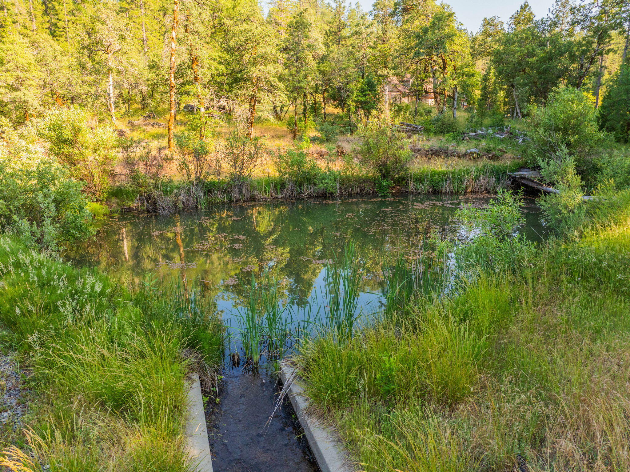 15399 Star Flower Road Oak Run, CA 96069 - Photo 34 of 44 a view of lake