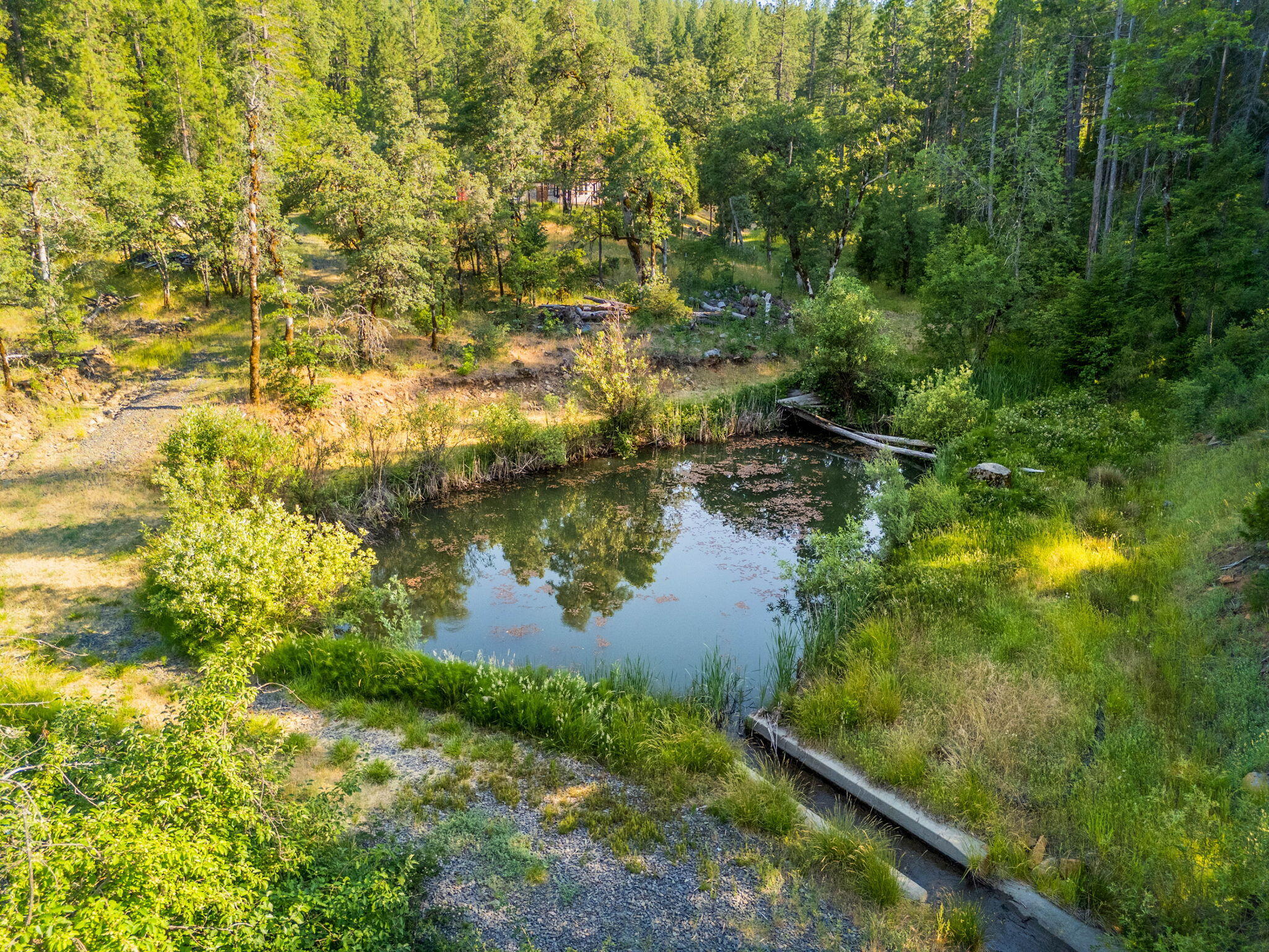 15399 Star Flower Road Oak Run, CA 96069 - Photo 35 of 44 a view of lake from a window