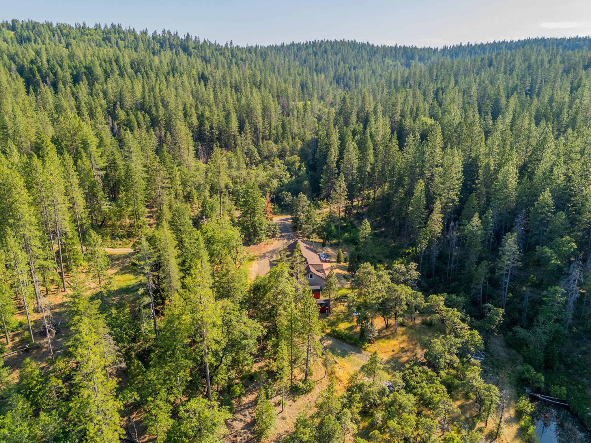 15399 Star Flower Road Oak Run, CA 96069 - Photo 37 of 44 a view of a lush green forest with trees and the houses