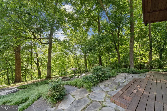 a view of backyard with green space