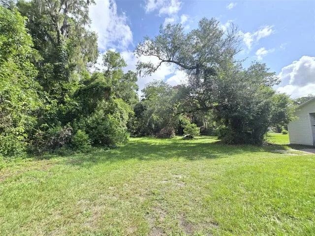 a view of a yard with a trees