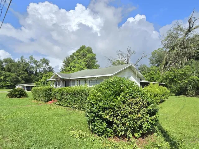 a view of a garden with plants