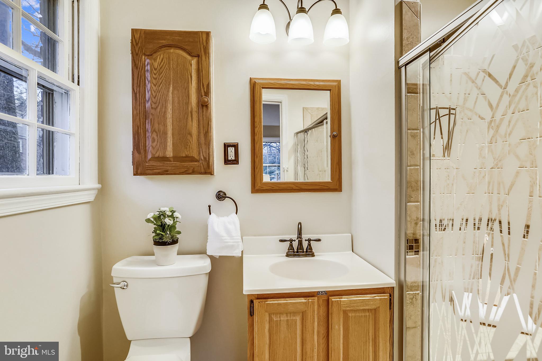 9802 Dameron Drive Silver Spring, MD 20902 - Photo 19 of 37 Owner's full bath