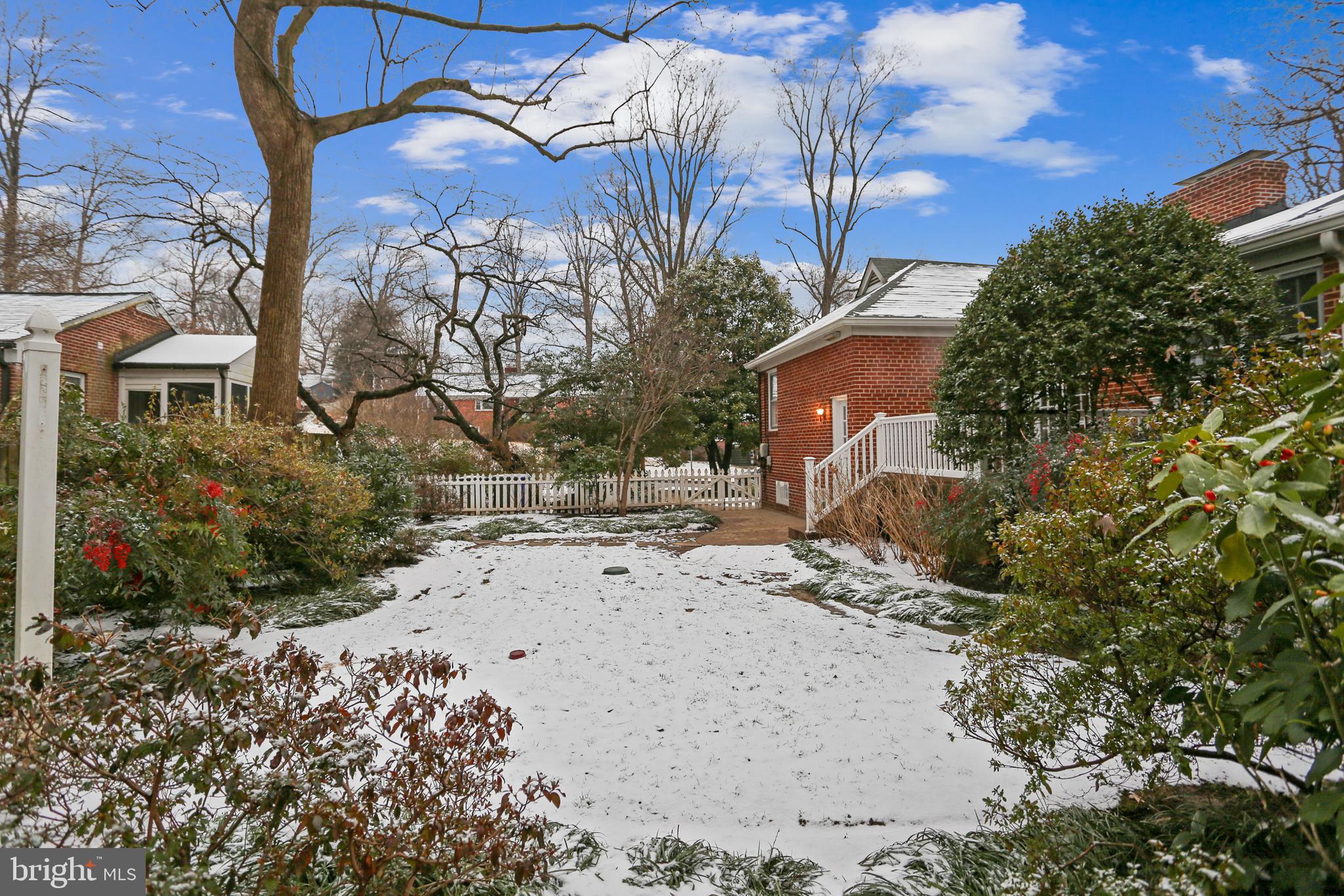 9802 Dameron Drive Silver Spring, MD 20902 - Photo 36 of 37 Rear Yard