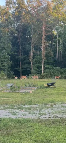 $560,000 | 1147 Tonya Trail, Cumberland Furnace, TN 37051