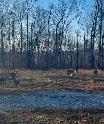 $560,000 | 1147 Tonya Trail, Cumberland Furnace, TN 37051