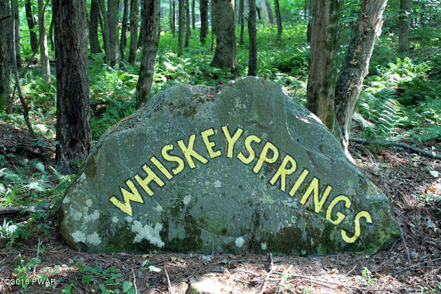 652 Galilee Road Damascus, PA 18415 - Photo 22 of 30 Whiskey Springs