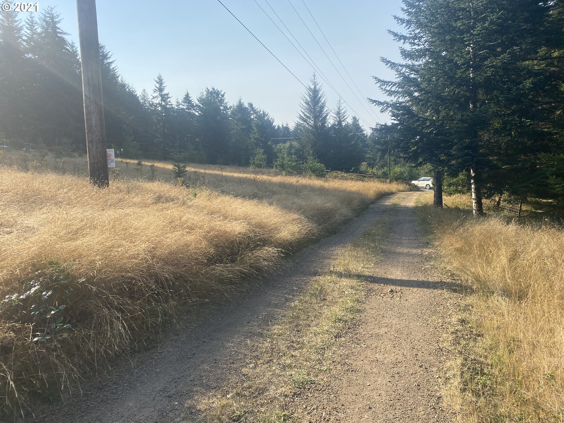 Cape Ferrelo Road Brookings, OR 97415 - Photo 3 of 8 Gallery Image 3