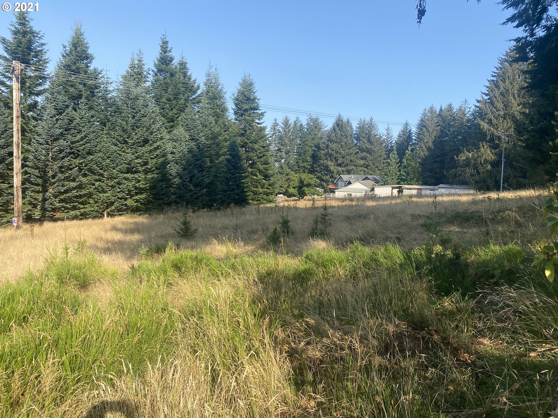 Cape Ferrelo Road Brookings, OR 97415 - Photo 5 of 8 Gallery Image 5