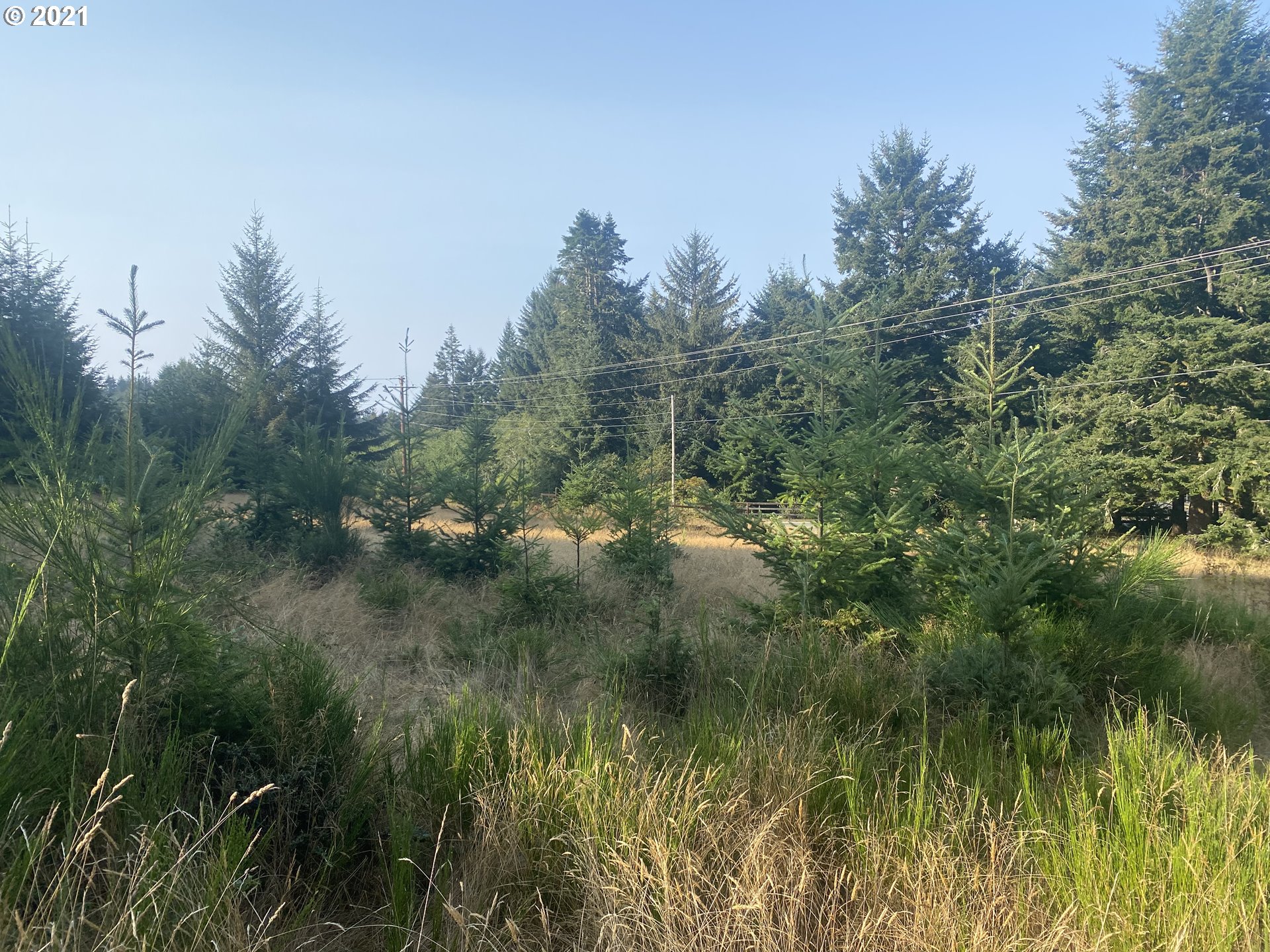 Cape Ferrelo Road Brookings, OR 97415 - Photo 6 of 8 Gallery Image 6
