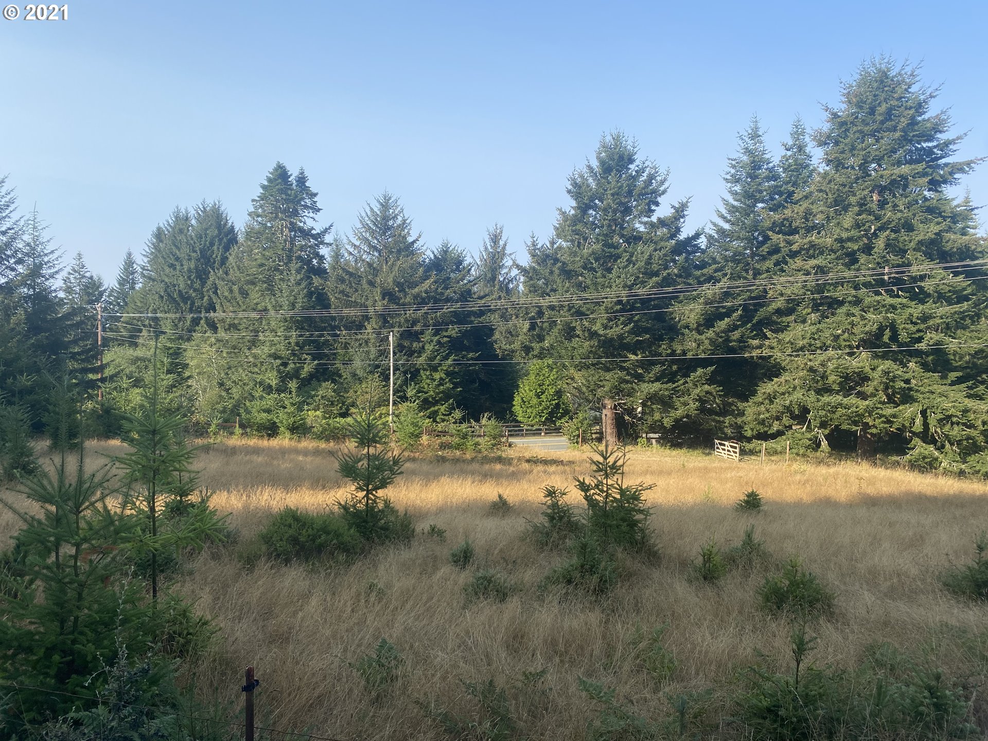 Cape Ferrelo Road Brookings, OR 97415 - Photo 7 of 8 Gallery Image 7