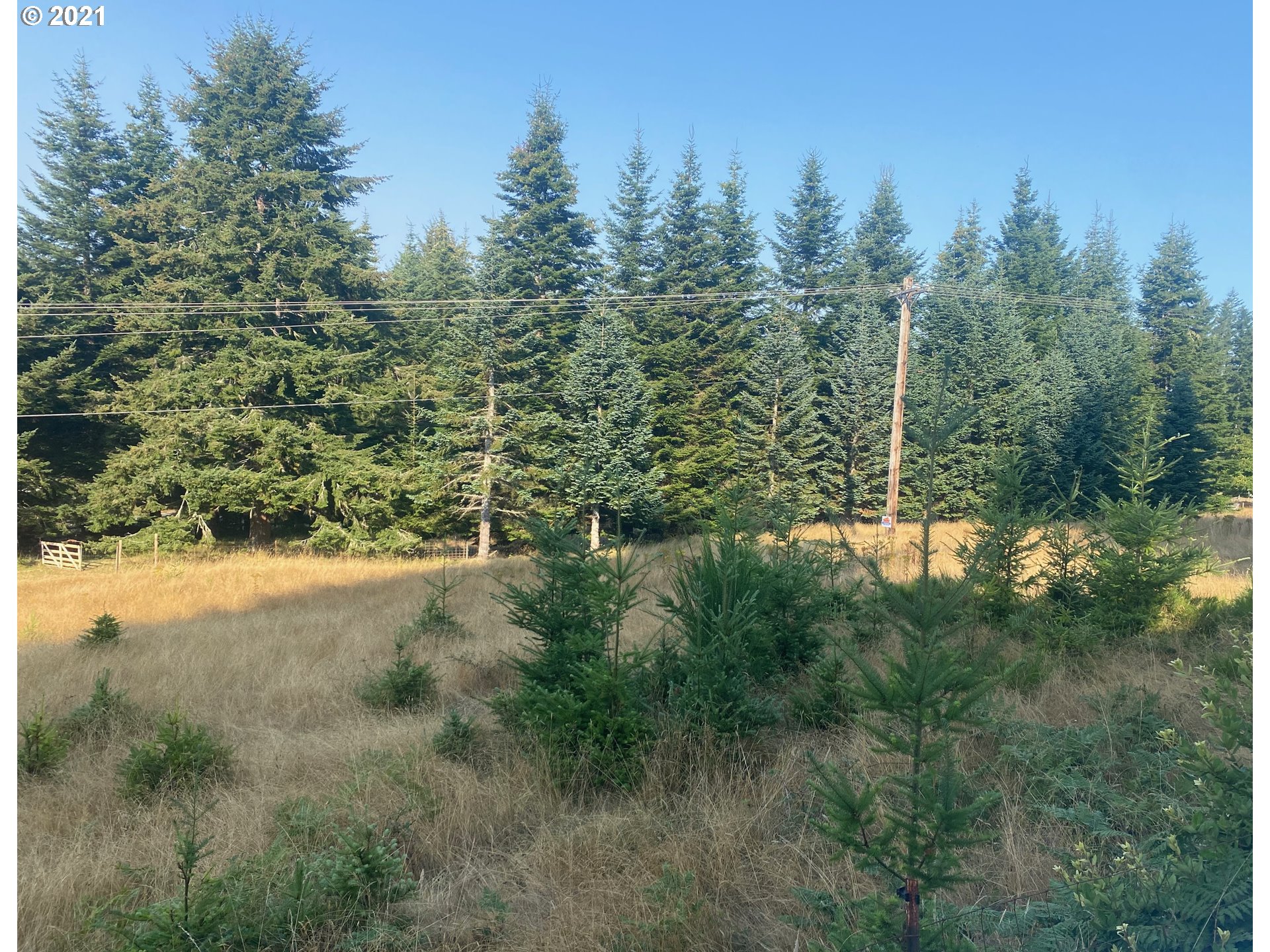 Cape Ferrelo Road Brookings, OR 97415 - Photo 8 of 8 Gallery Image 8