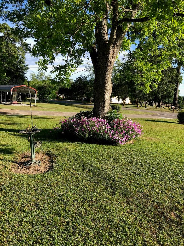 448 Woodham Road Headland, AL 36345 - Photo 27 of 35