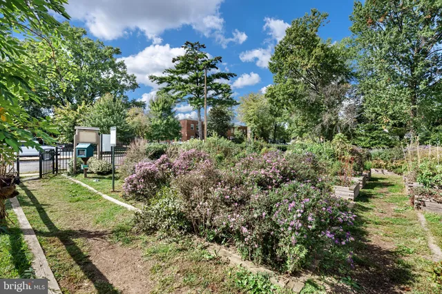 a view of a backyard with pathway