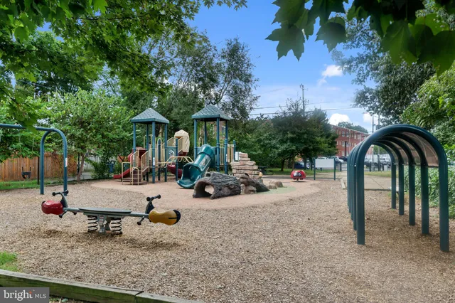 a view of a garden with plants