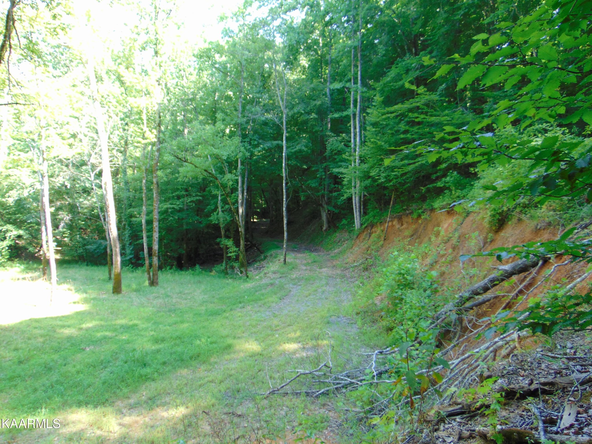 41 Athens Road Delano, TN 37325 - Photo 27 of 34