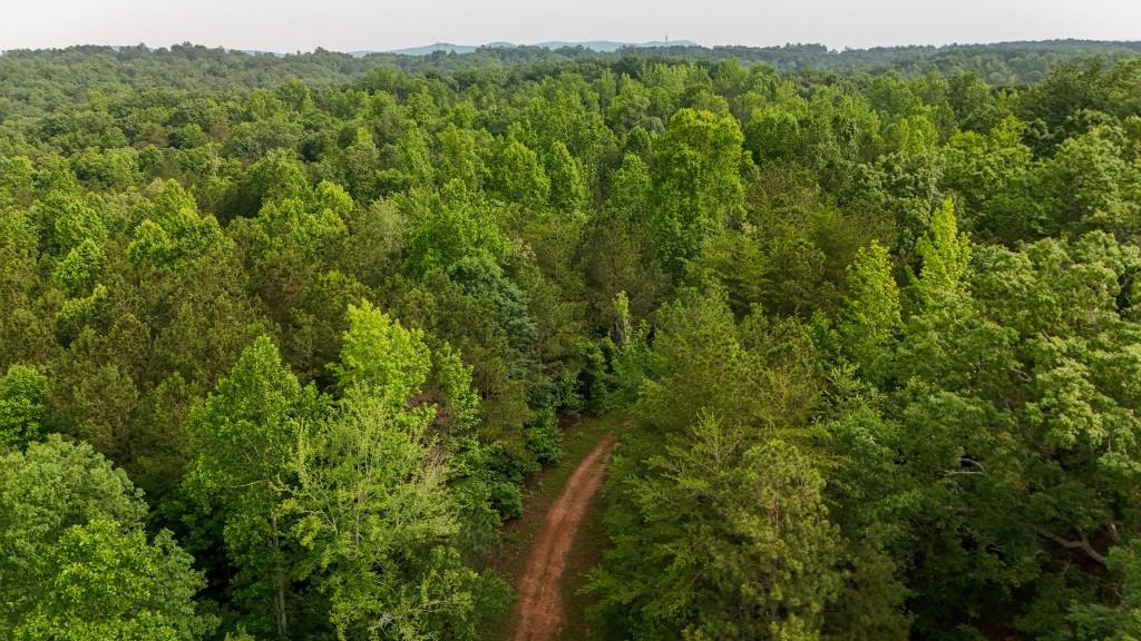 0 Cox Circle Canton, GA 30114 - Photo 2 of 15