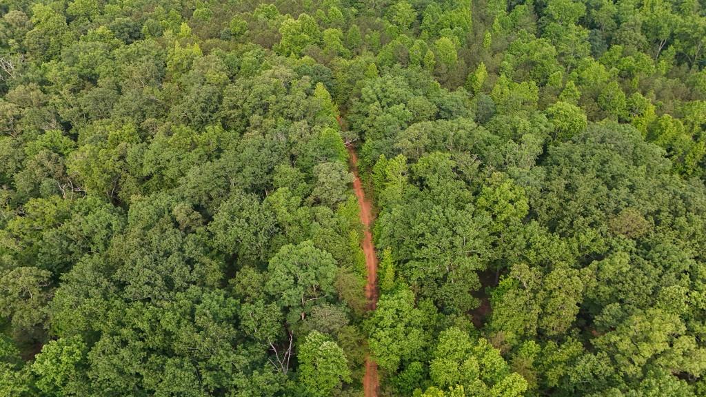 0 Cox Circle Canton, GA 30114 - Photo 5 of 15