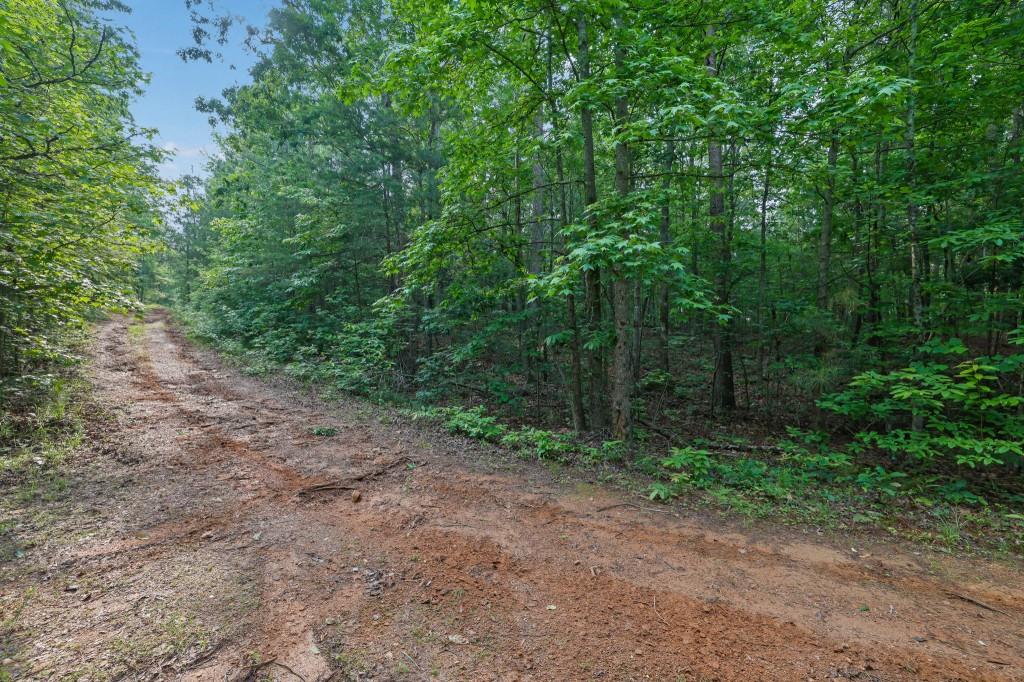 0 Cox Circle Canton, GA 30114 - Photo 10 of 15