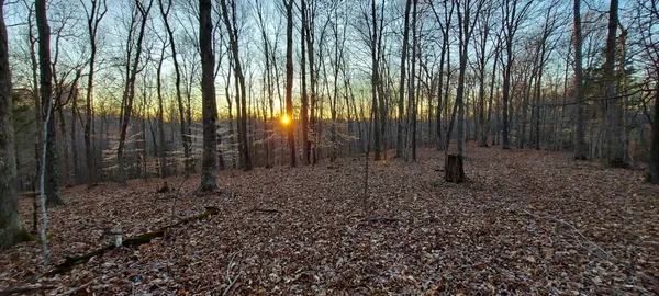 a bird view of a house
