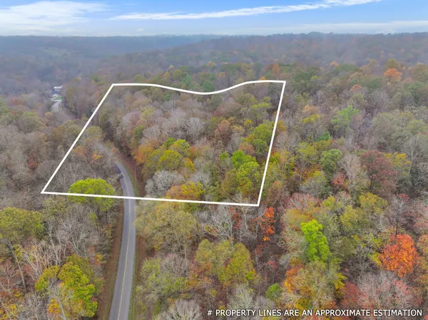 a view of a trees in a yard