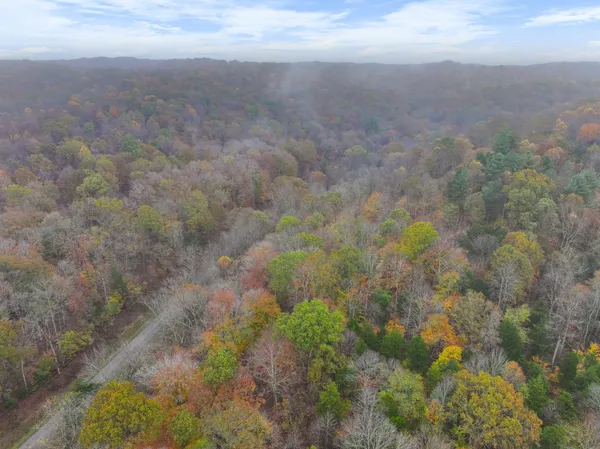 a view of a field with plants and trees