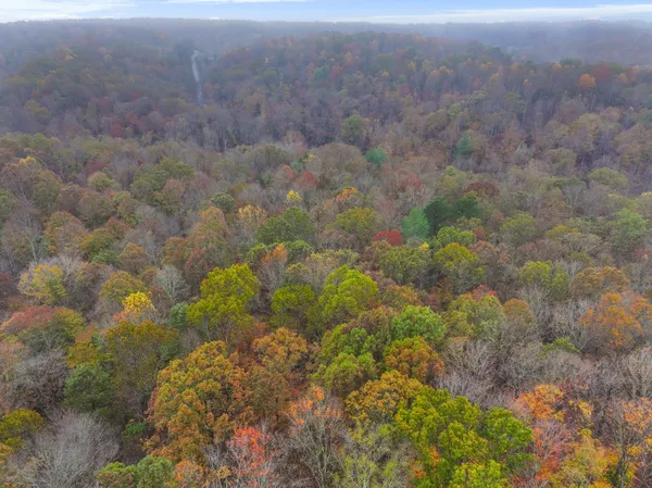 a view of a field with trees in background