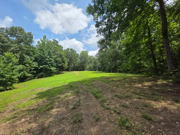 a view of field with trees in the background