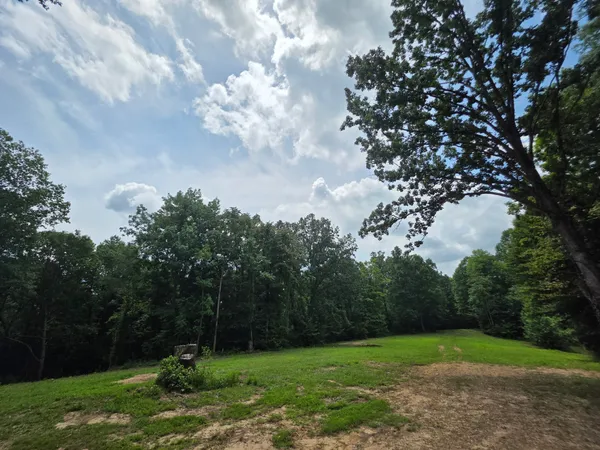 a view of a field of grass and trees