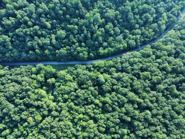 a view of a bunch of trees
