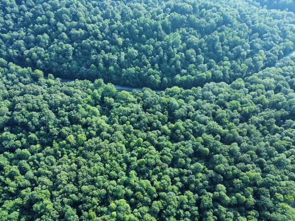 an aerial view of a house with a yard and outdoor space
