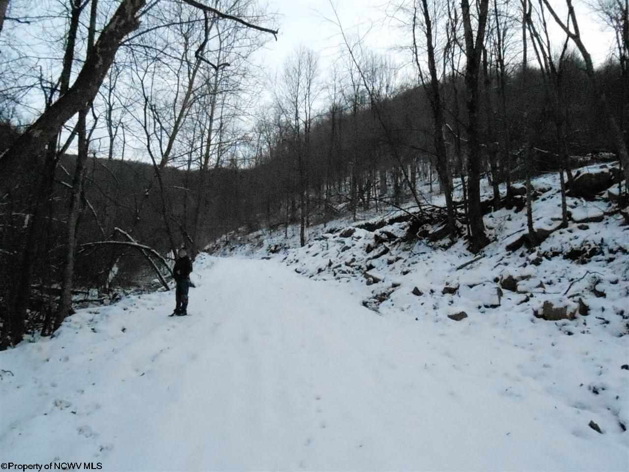 1 Pennington Road Dryfork, WV 26263 - Photo 13 of 19 Gallery Image 13