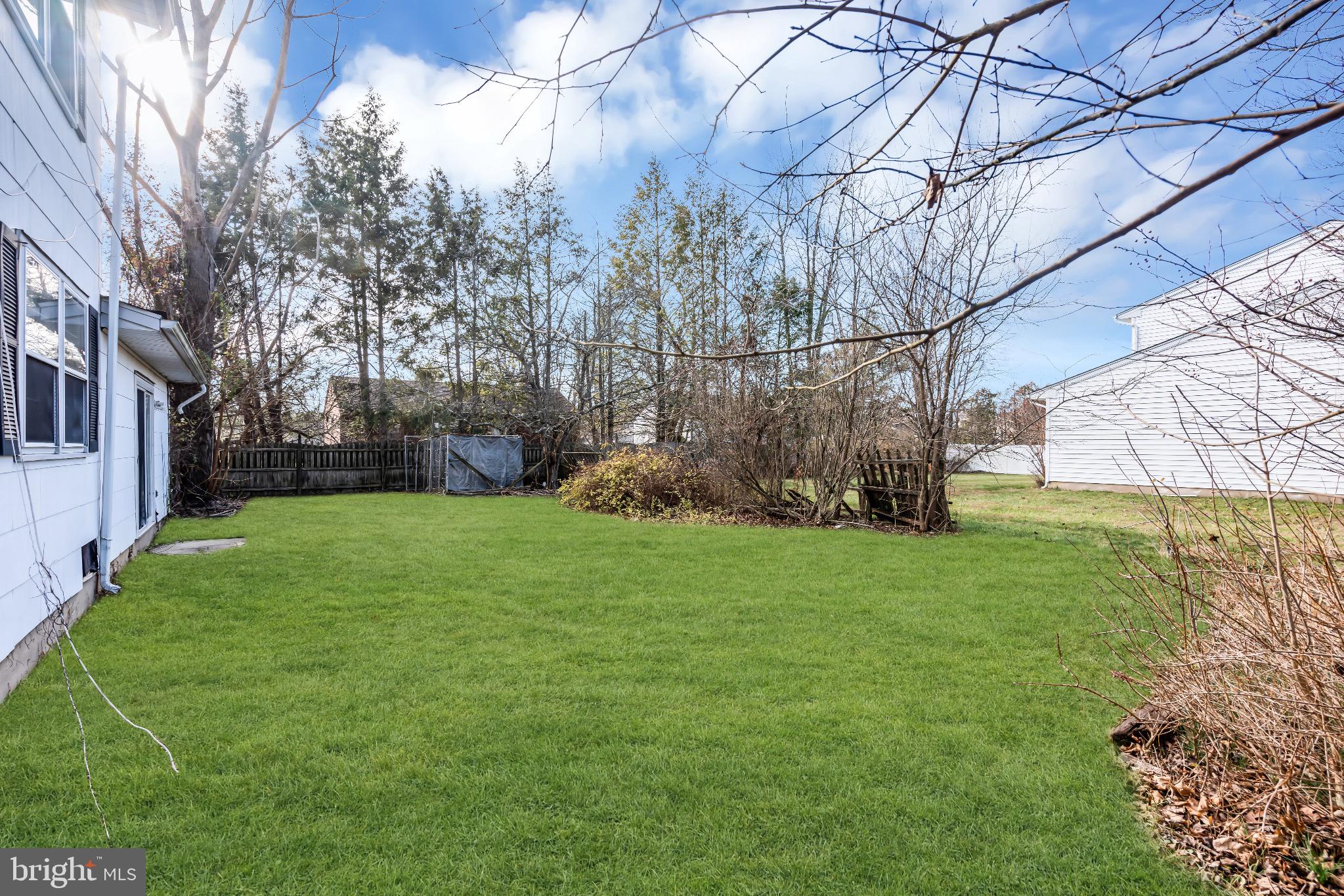 1 Colleen Circle Ewing, NJ 08638 - Photo 12 of 12 a view of a backyard with large tree