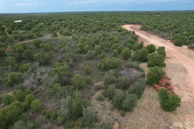 an aerial view of a houses with outdoor space and trees